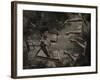 Topicworks-Fabio Panichi-Framed Photographic Print