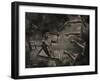 Topicworks-Fabio Panichi-Framed Photographic Print