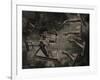 Topicworks-Fabio Panichi-Framed Photographic Print