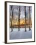 Topiczone-Jim Crotty-Framed Photographic Print