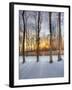 Topiczone-Jim Crotty-Framed Photographic Print
