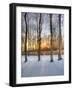 Topiczone-Jim Crotty-Framed Photographic Print