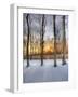 Topiczone-Jim Crotty-Framed Photographic Print