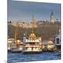 Topkapi Palace and Ferries on the Waterfront of the Golden Horn, Istanbul, Turkeyistanbul, Turkey-Jon Arnold-Mounted Photographic Print