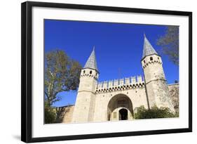 Topkapi Palace, UNESCO World Heritage Site, Sultanahmet District, Istanbul, Turkey, Europe-Richard Cummins-Framed Photographic Print