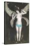 Topless Woman with Dragonfly Wings-null-Stretched Canvas