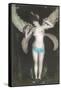 Topless Woman with Dragonfly Wings-null-Framed Stretched Canvas