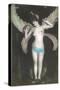 Topless Woman with Dragonfly Wings-null-Stretched Canvas