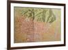 Topographic Map of Bologna, 1937, Italy-null-Framed Giclee Print