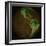 Topographic Map of Earth-Stocktrek Images-Framed Photographic Print