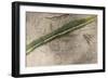 Topographical Chart of the Battlefield of the Little Big Horn-Amos Bad Heart Buffalo-Framed Giclee Print