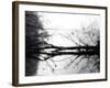 Toppoint-Sharon Wish-Framed Photographic Print