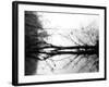 Toppoint-Sharon Wish-Framed Photographic Print