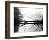 Toppoint-Sharon Wish-Framed Photographic Print