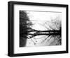 Toppoint-Sharon Wish-Framed Photographic Print