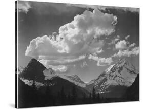 Tops Of Pine Trees Snow Covered "In Glacier National Park" Montana. 1933-1942-Ansel Adams-Stretched Canvas