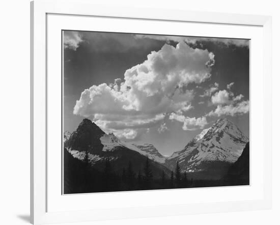 Tops Of Pine Trees Snow Covered "In Glacier National Park" Montana. 1933-1942-Ansel Adams-Framed Art Print