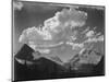 Tops Of Pine Trees Snow Covered "In Glacier National Park" Montana. 1933-1942-Ansel Adams-Mounted Art Print