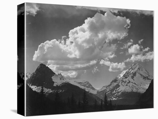 Tops Of Pine Trees Snow Covered "In Glacier National Park" Montana. 1933-1942-Ansel Adams-Stretched Canvas