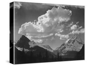 Tops Of Pine Trees Snow Covered "In Glacier National Park" Montana. 1933-1942-Ansel Adams-Stretched Canvas