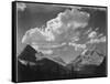 Tops Of Pine Trees Snow Covered "In Glacier National Park" Montana. 1933-1942-Ansel Adams-Framed Stretched Canvas