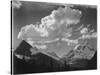 Tops Of Pine Trees Snow Covered "In Glacier National Park" Montana. 1933-1942-Ansel Adams-Stretched Canvas