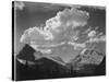 Tops Of Pine Trees Snow Covered "In Glacier National Park" Montana. 1933-1942-Ansel Adams-Stretched Canvas