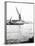 Topsail Barge on the Thames with its Top Mast Lowered, London, C1905-null-Framed Photographic Print