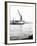 Topsail Barge on the Thames with its Top Mast Lowered, London, C1905-null-Framed Photographic Print