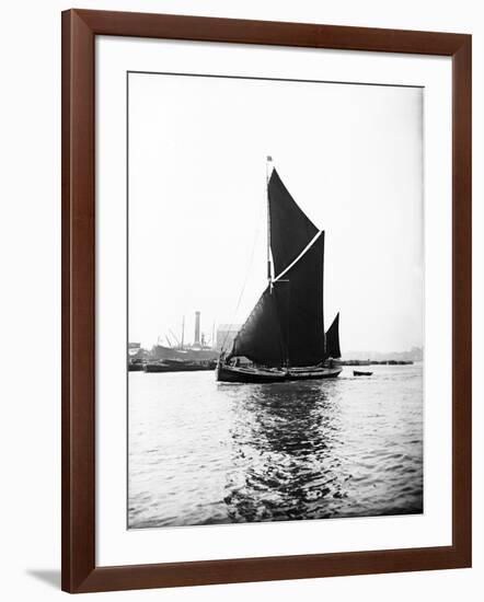 Topsail Barge under Sail on the Thames, London, C1905-null-Framed Photographic Print