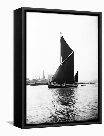 Topsail Barge under Sail on the Thames, London, C1905-null-Framed Stretched Canvas