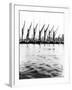 Topsail Barges at Anchor on the Thames, Some with Topsails Lowered, London, C1905-null-Framed Photographic Print