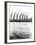 Topsail Barges at Anchor on the Thames, Some with Topsails Lowered, London, C1905-null-Framed Photographic Print