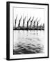 Topsail Barges at Anchor on the Thames, Some with Topsails Lowered, London, C1905-null-Framed Photographic Print