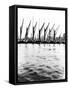 Topsail Barges at Anchor on the Thames, Some with Topsails Lowered, London, C1905-null-Framed Stretched Canvas