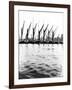 Topsail Barges at Anchor on the Thames, Some with Topsails Lowered, London, C1905-null-Framed Photographic Print