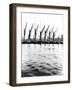 Topsail Barges at Anchor on the Thames, Some with Topsails Lowered, London, C1905-null-Framed Photographic Print