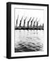 Topsail Barges at Anchor on the Thames, Some with Topsails Lowered, London, C1905-null-Framed Photographic Print