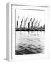 Topsail Barges at Anchor on the Thames, Some with Topsails Lowered, London, C1905-null-Framed Photographic Print