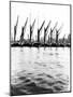 Topsail Barges at Anchor on the Thames, Some with Topsails Lowered, London, C1905-null-Mounted Photographic Print