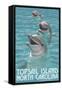 Topsail Island, North Carolina - Dolphins-Lantern Press-Framed Stretched Canvas