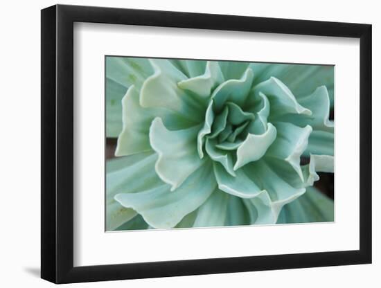 Topsy Turvy-Michael Hudson-Framed Art Print