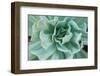 Topsy Turvy-Michael Hudson-Framed Art Print