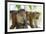 Toque Macaque (Macaca Sinica Sinica) Group Feeding in Garden, Sri Lanka-Ernie Janes-Framed Photographic Print