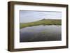 Tor and a Moorland Pond, Dartmoor National Park, Devon, England, United Kingdom, Europe-James Emmerson-Framed Photographic Print