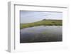 Tor and a Moorland Pond, Dartmoor National Park, Devon, England, United Kingdom, Europe-James Emmerson-Framed Photographic Print