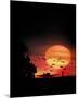 Wood Mount