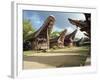 Toraja Houses and Granaries, Toraja Area, Sulawesi, Indonesia, Southeast Asia-Harding Robert-Framed Photographic Print