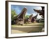 Toraja Houses and Granaries, Toraja Area, Sulawesi, Indonesia, Southeast Asia-Harding Robert-Framed Photographic Print