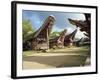 Toraja Houses and Granaries, Toraja Area, Sulawesi, Indonesia, Southeast Asia-Harding Robert-Framed Photographic Print